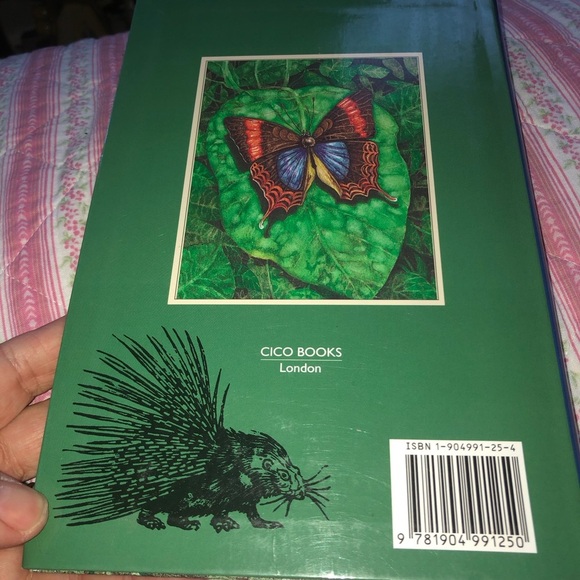 Animal Wisdom Book by Susie Green - Picture 9 of 9